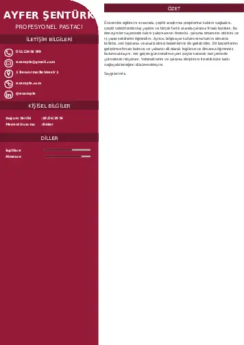 Pastacı Cv Örnekleri cv indir